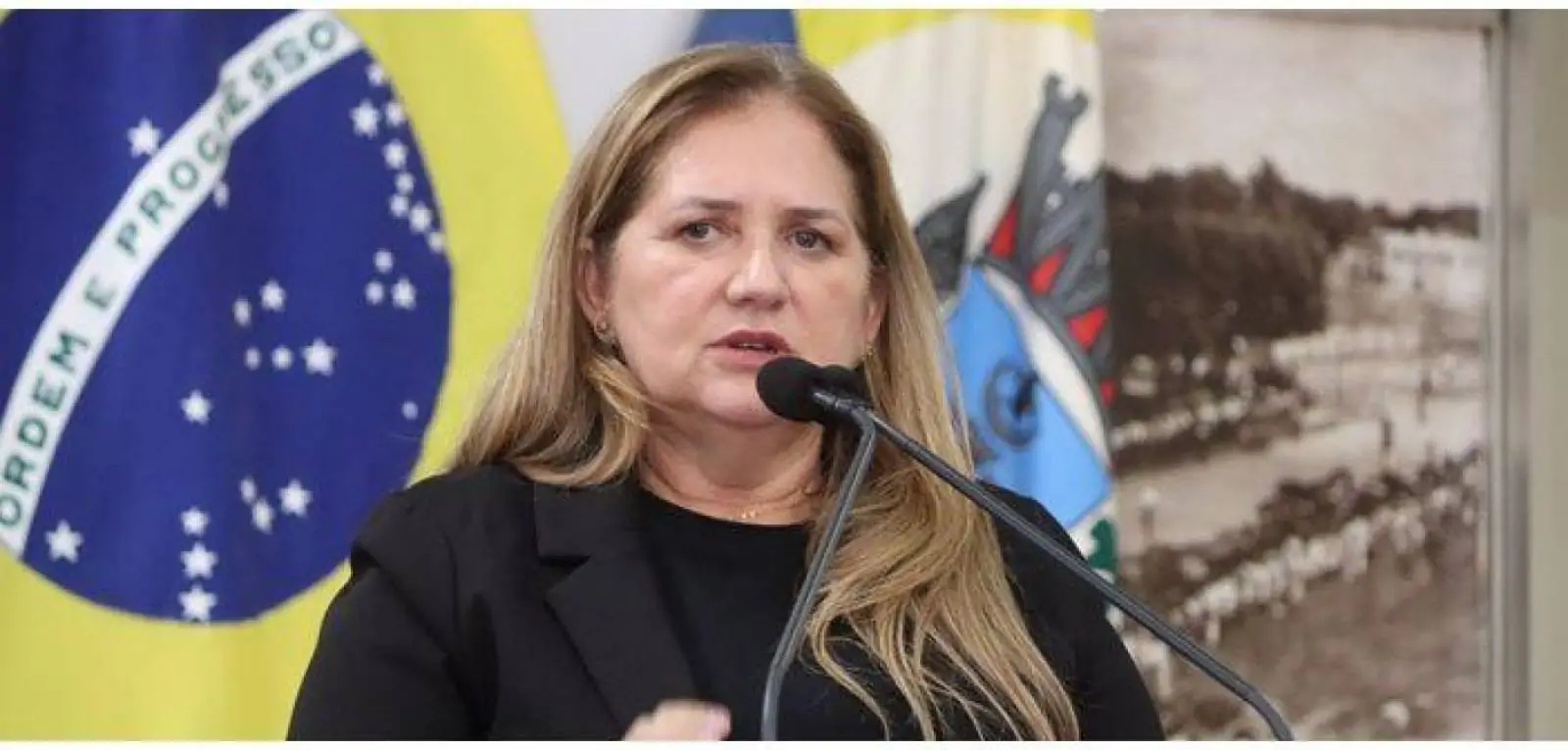 VEREADORA BÁRBARA MATOS APRESENTA PROJETO PARA LOGÍSTICA REVERSA DE PNEUS