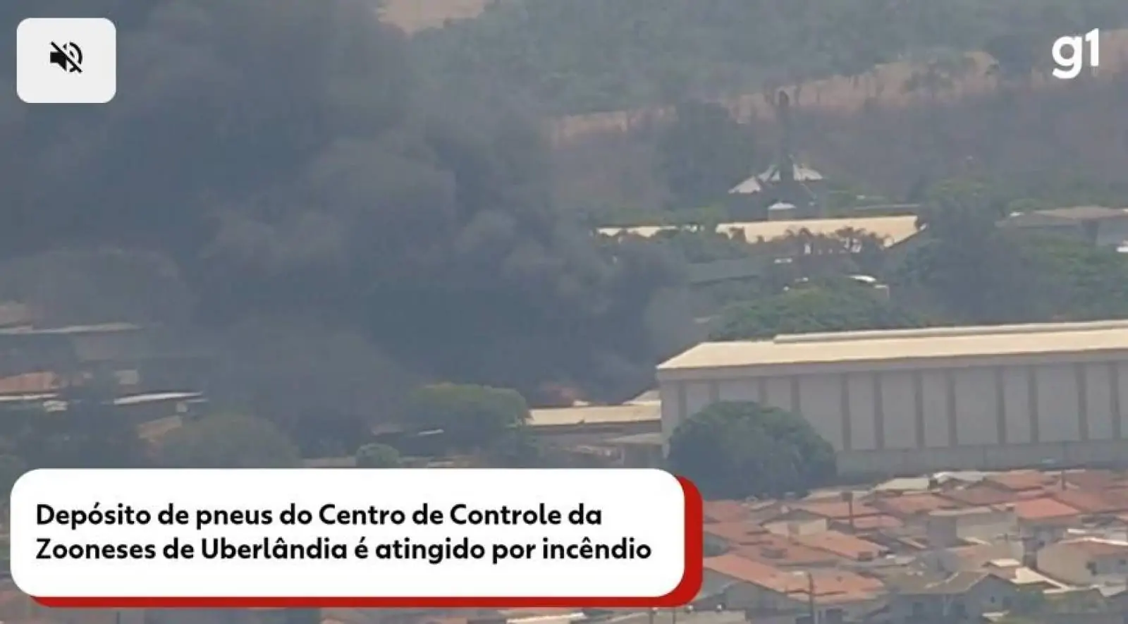 VIDEO: Incêndio atinge ecoponto da Zoonoses que armazena pneus recolhidos em Uberlândia