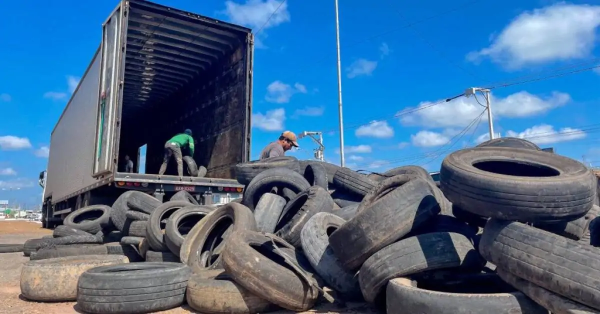 Zeladoria Urbana recolhe pneus em borracharias de Macapá para fazer o descarte correto
